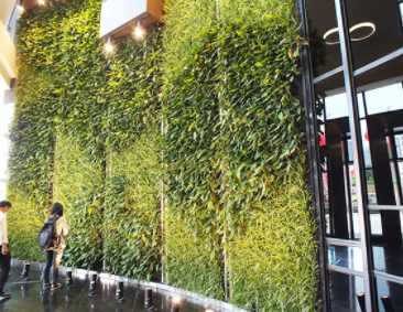 开封立体绿化植物墙设计施工